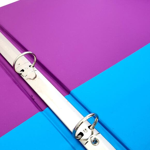 Vintage Lisa Frank Tri-Fold Binder Set – Cheer Bear Design – 1990s Collectible - Picture 9 of 13